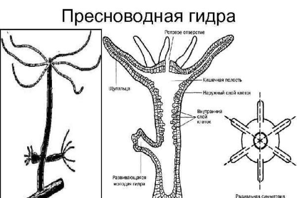 Кракен сайт маркетплейс