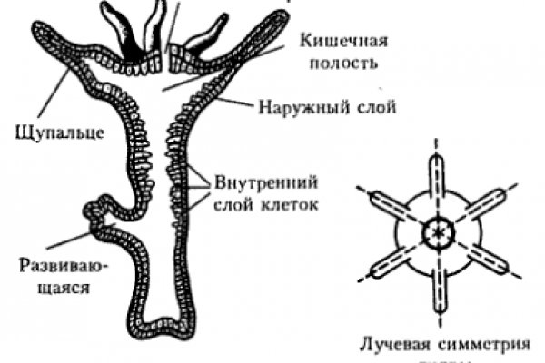 Kraken адрес onion