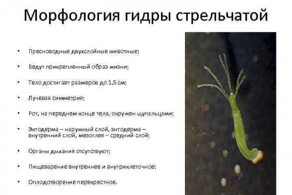Kraken фейк сайт